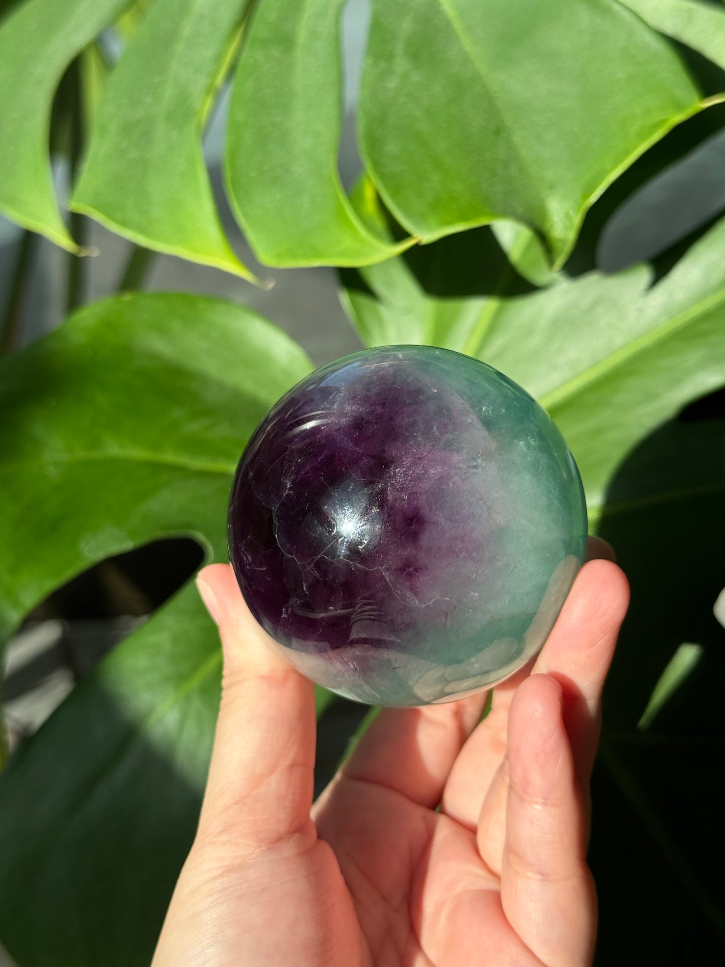Watermelon Fluorite Sphere#1